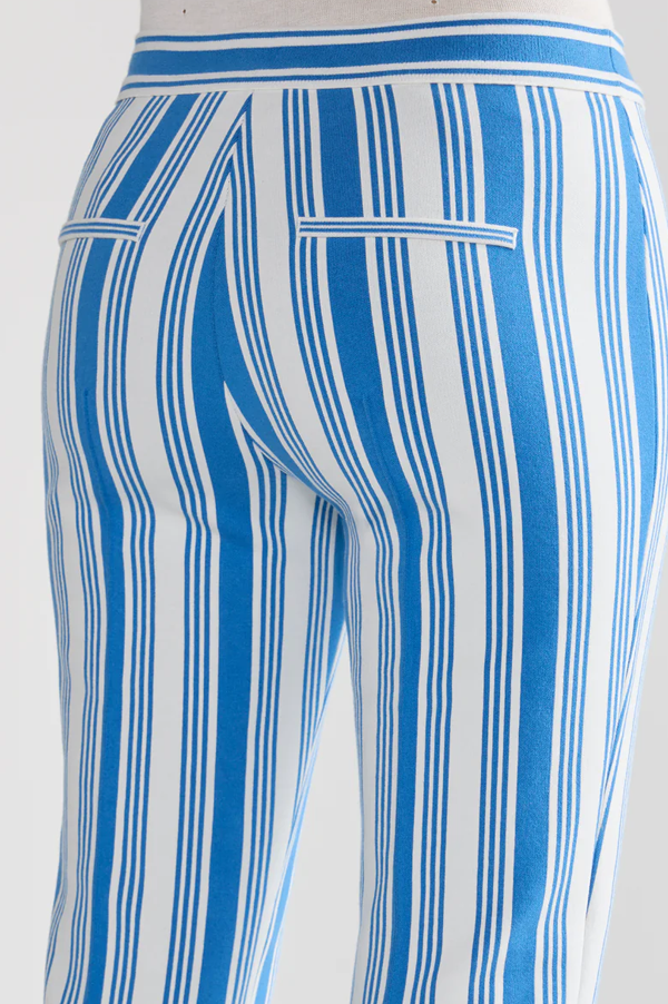 Vertical Stripe Louis Pants In Blue Combo